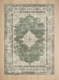 Retro Plush Rug - Sage - 80x120cm