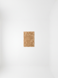 Amber Gradient Rug - 140x200cm