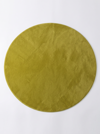 Coral Velvet Living Room Rug - Green - 80cm diametre