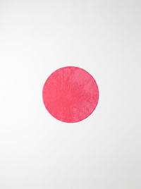 Coral Velvet Living Room Rug - Pink - 180cm diametre