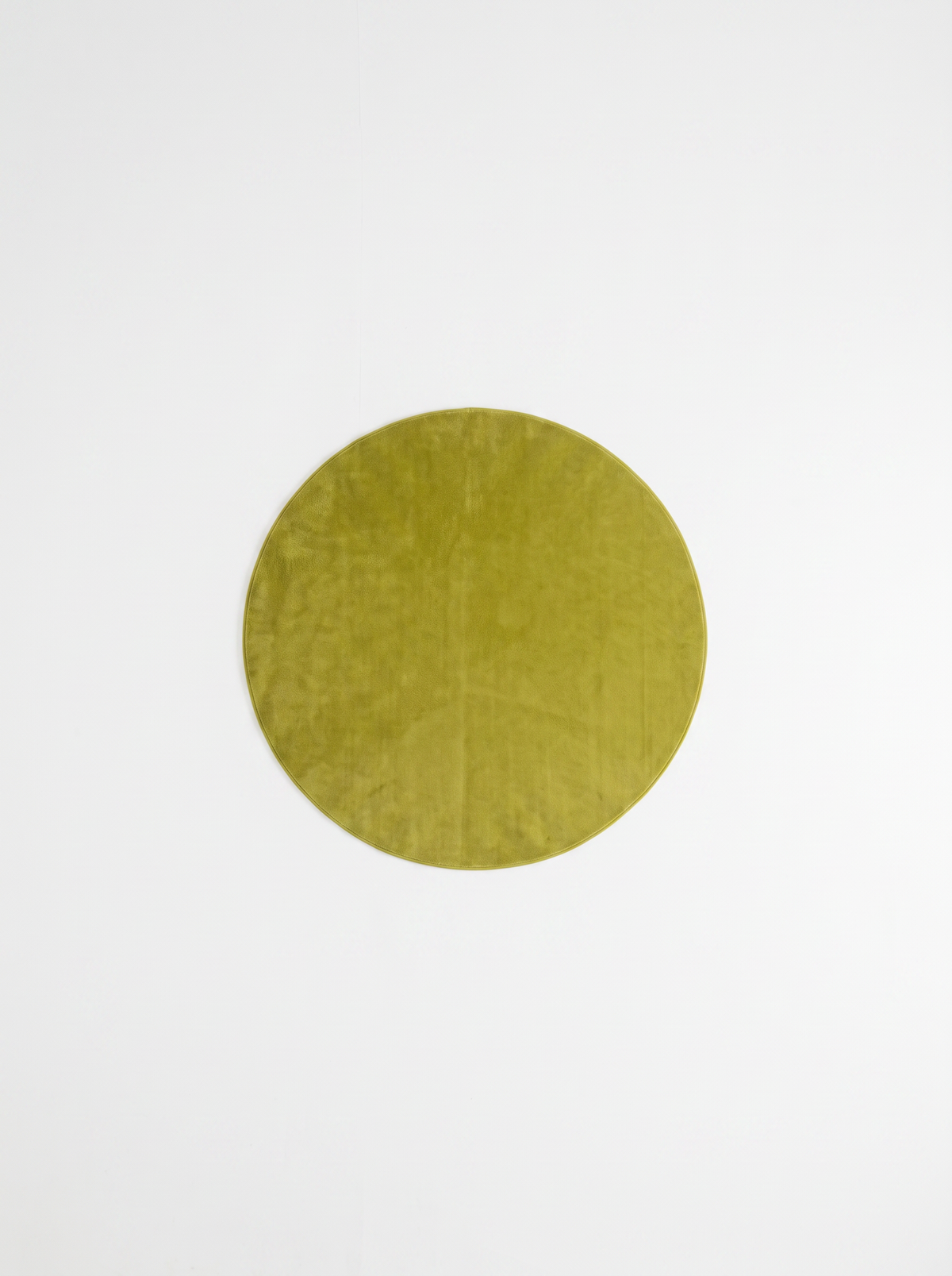 Coral Velvet Living Room Rug - Green - 180cm diametre