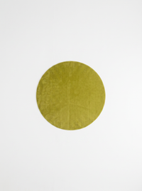 Coral Velvet Living Room Rug - Green - 180cm diametre
