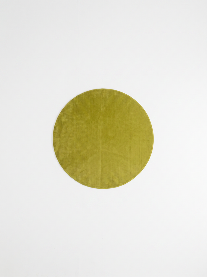 Coral Velvet Living Room Rug - Green - 180cm diametre