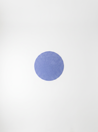 Coral Velvet Living Room Rug - Blue - 180cm diametre