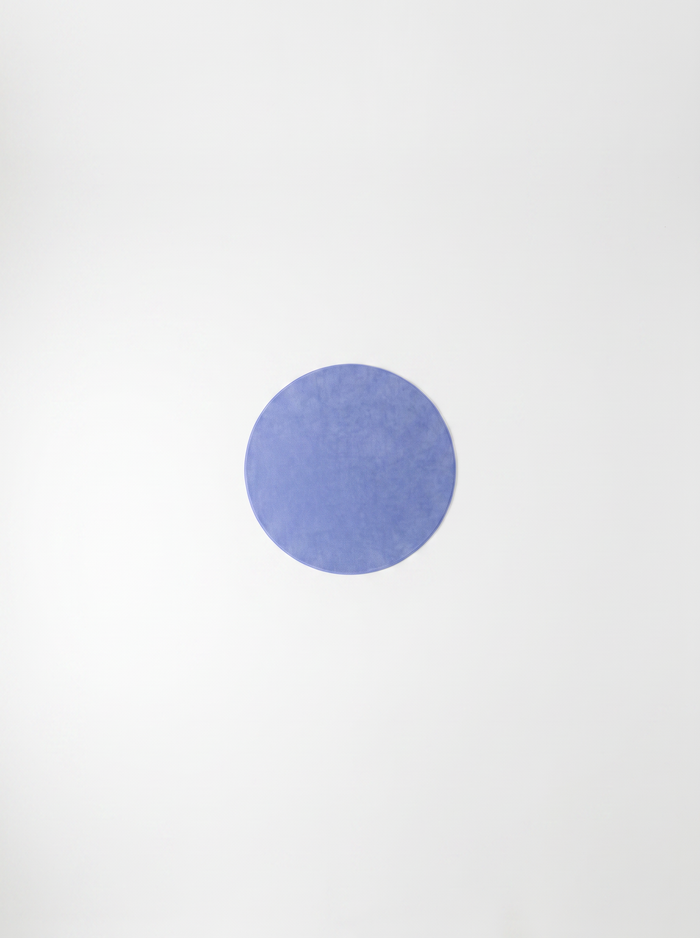 Coral Velvet Living Room Rug - Blue - 180cm diametre